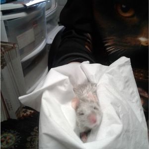 “Is she wearing a CAT shirt behind me?Traitor!"